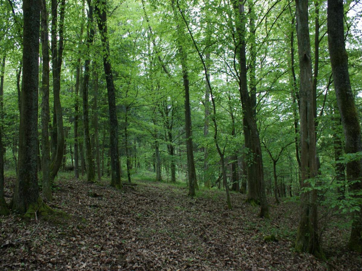 Willa L'Ermitage Du Rebberg Urmatt Zewnętrze zdjęcie